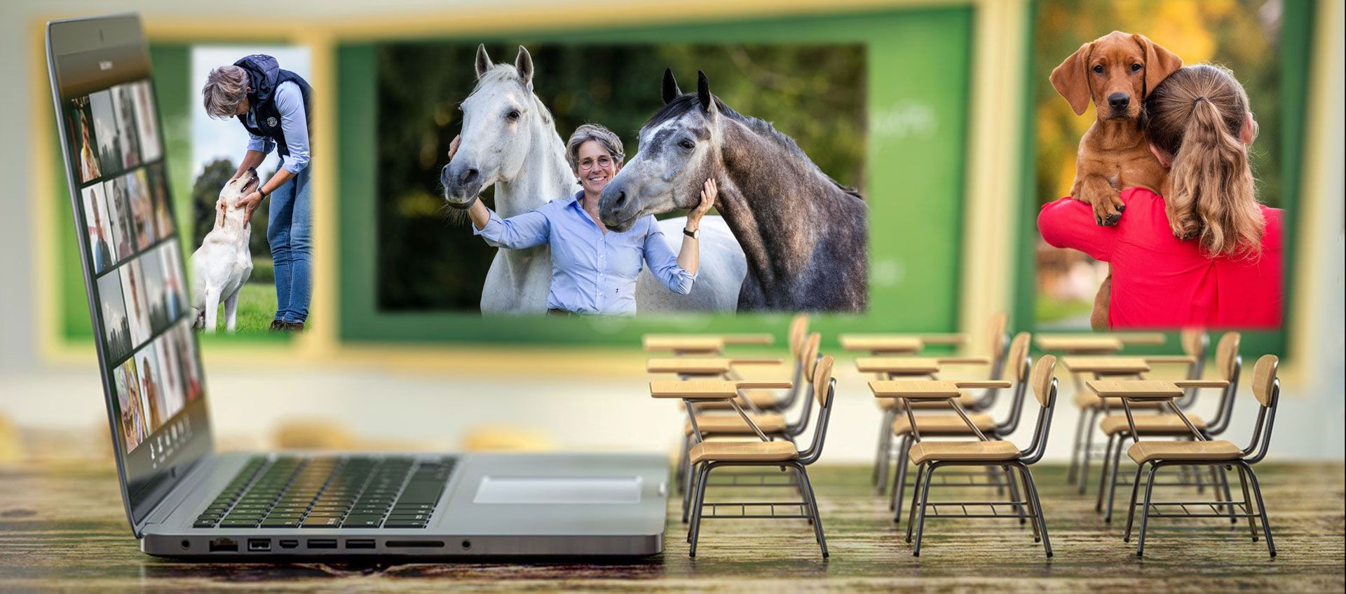 Tierschule Anne Krüger-Degener Online-Schulungen